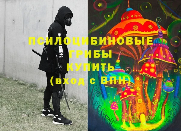 дживик Баксан