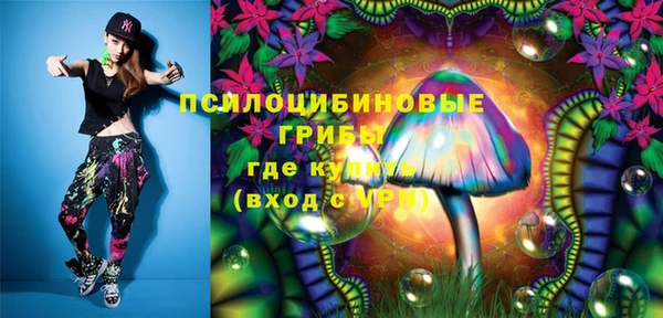 дживик Баксан
