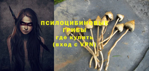 крисы Балахна