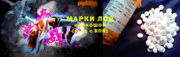 дживик Баксан
