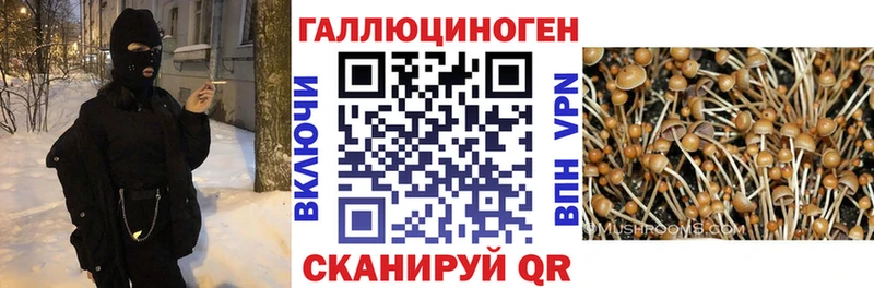 хочу   маркетплейс Telegram  Галлюциногенные грибы ЛСД  Юхнов  mega сайт 
